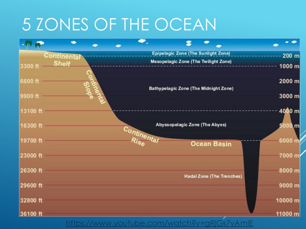 Ocean Zone Map Wayne Baisey